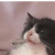 LirikDer